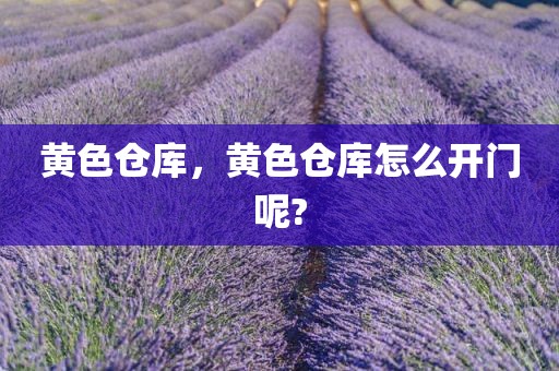 黄色仓库，黄色仓库怎么开门呢?