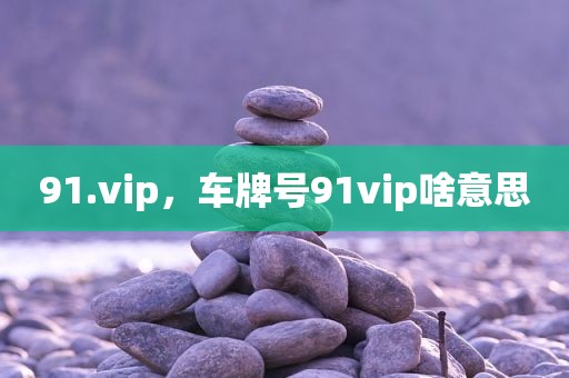 91.vip，车牌号91vip啥意思