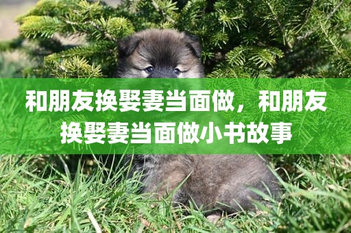 和朋友换娶妻当面做，和朋友换娶妻当面做小书故事