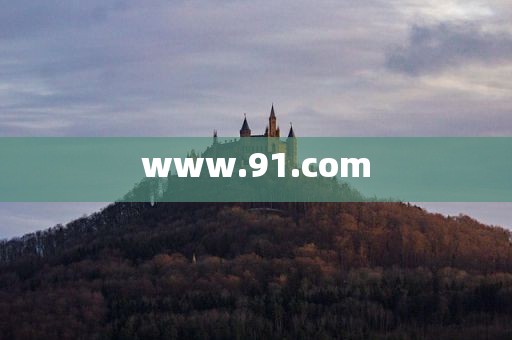 www.91.com
