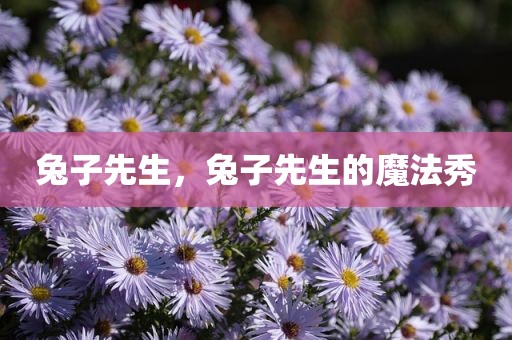 兔子先生，兔子先生的魔法秀