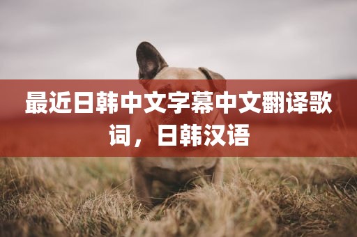 最近日韩中文字幕中文翻译歌词，日韩汉语