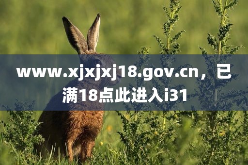 www.xjxjxj18.gov.cn，已满18点此进入i31