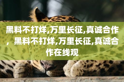 黑料不打烊,万里长征,真诚合作，黑料不打烊,万里长征,真诚合作在线观