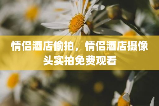情侣酒店偷拍，情侣酒店摄像头实拍免费观看