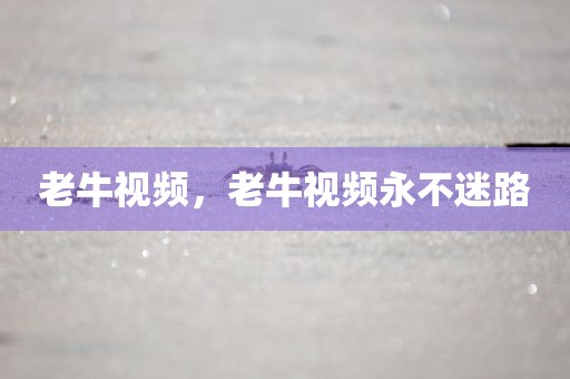 老牛视频，老牛视频永不迷路