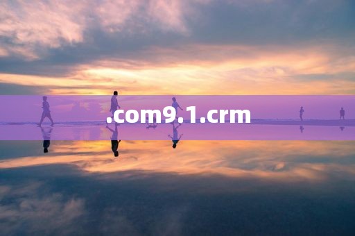 .com9.1.crm