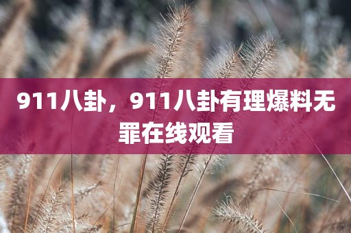 911八卦，911八卦有理爆料无罪在线观看