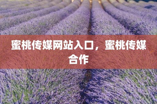 蜜桃传媒网站入口，蜜桃传媒合作