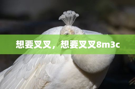 想要叉叉，想要叉叉8m3c