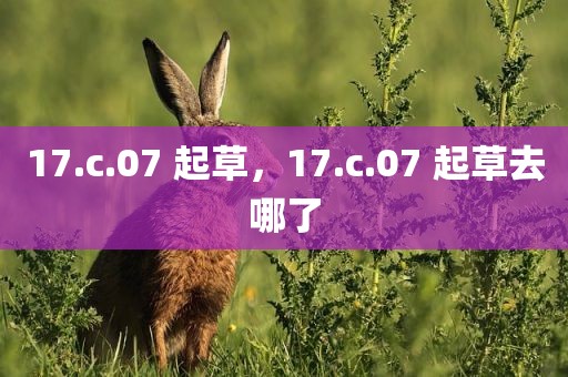 17.c.07 起草，17.c.07 起草去哪了