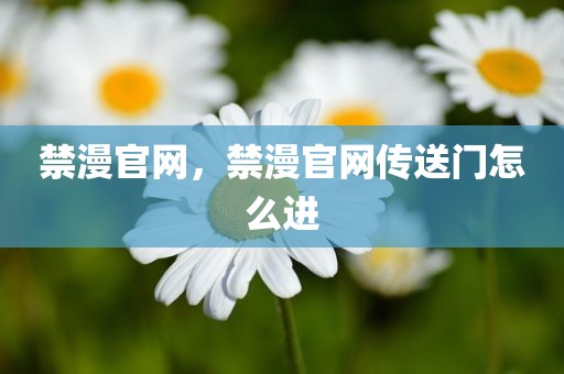 禁漫官网，禁漫官网传送门怎么进