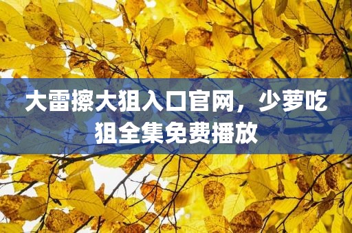 大雷擦大狙入口官网，少萝吃狙全集免费播放