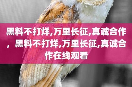 黑料不打烊,万里长征,真诚合作，黑料不打烊,万里长征,真诚合作在线观看
