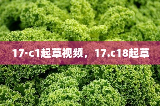 17·c1起草视频，17.c18起草
