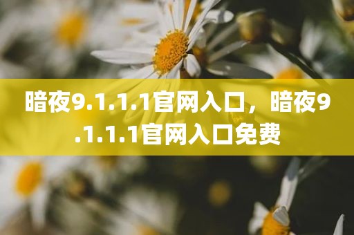 暗夜9.1.1.1官网入口，暗夜9.1.1.1官网入口免费