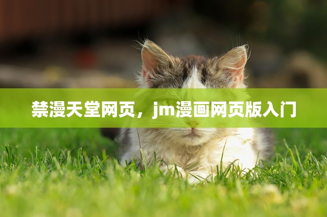 禁漫天堂网页，jm漫画网页版入门