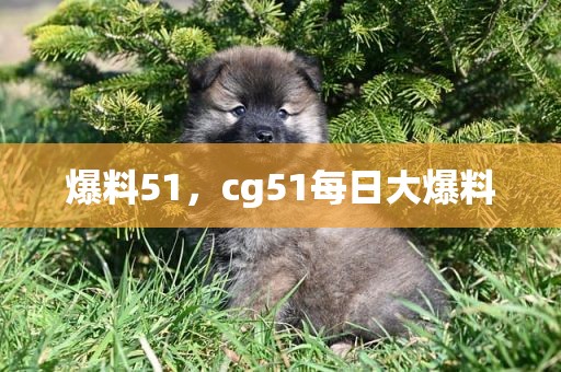 爆料51，cg51每日大爆料