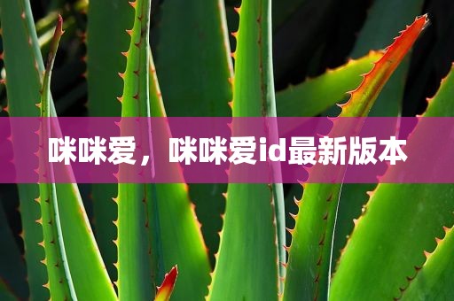 咪咪爱，咪咪爱id最新版本