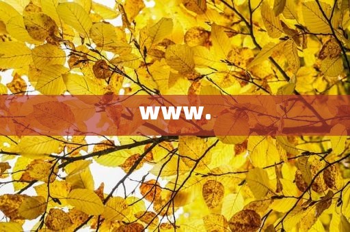 www.
