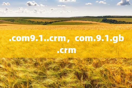 .com9.1..crm，com.9.1.gb.crm