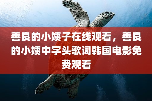 善良的小姨子在线观看，善良的小姨中字头歌词韩国电影免费观看