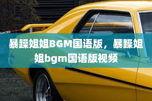 暴躁姐姐BGM国语版，暴躁姐姐bgm国语版视频
