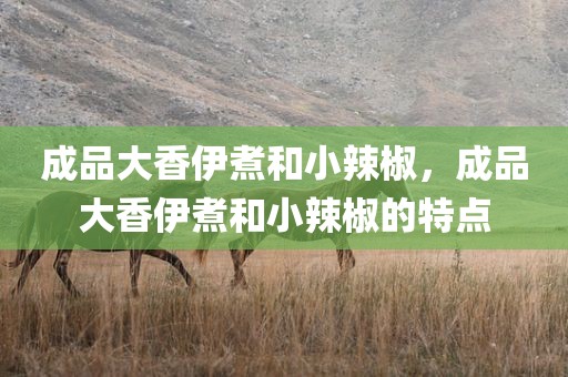 成品大香伊煮和小辣椒，成品大香伊煮和小辣椒的特点
