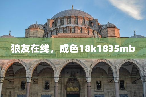狼友在线，成色18k1835mb