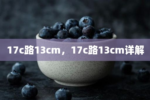 17c路13cm，17c路13cm详解