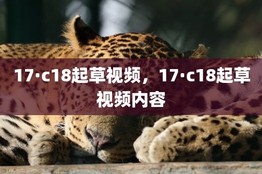 17·c18起草视频，17·c18起草视频内容