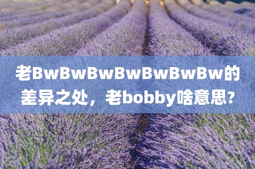 老BwBwBwBwBwBwBw的差异之处，老bobby啥意思?