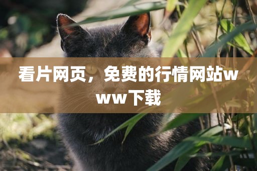 看片网页，免费的行情网站www下载