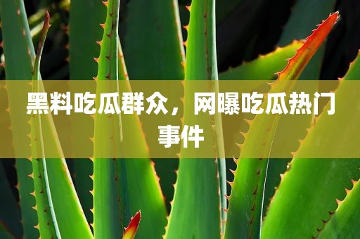 黑料吃瓜群众，网曝吃瓜热门事件