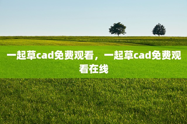 一起草cad免费观看，一起草cad免费观看在线