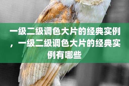一级二级调色大片的经典实例，一级二级调色大片的经典实例有哪些
