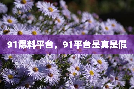 91爆料平台，91平台是真是假