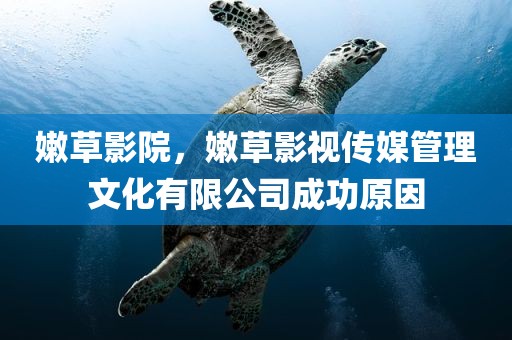 嫩草影院，嫩草影视传媒管理文化有限公司成功原因