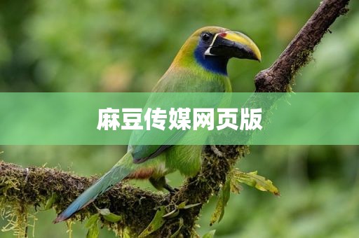 麻豆传媒网页版