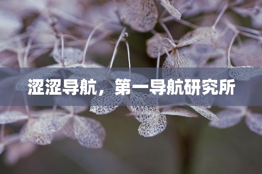涩涩导航，第一导航研究所