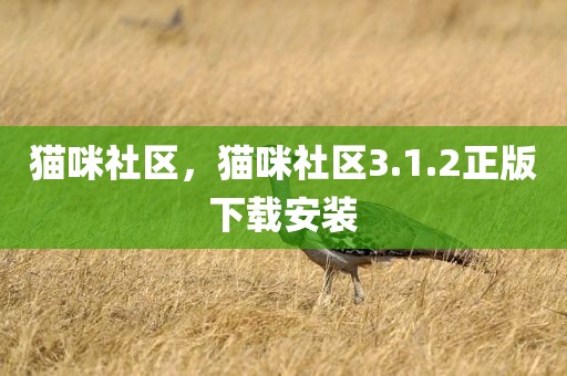 猫咪社区，猫咪社区3.1.2正版下载安装