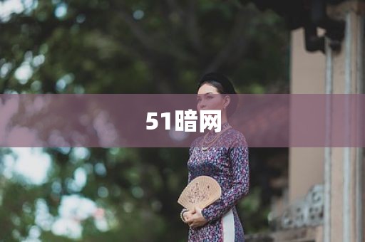 51暗网