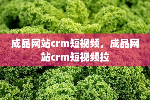 成品网站crm短视频，成品网站crm短视频拉