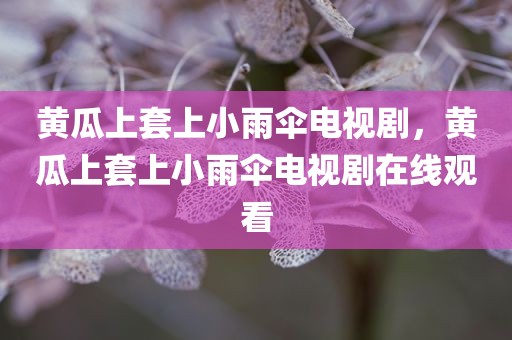 黄瓜上套上小雨伞电视剧，黄瓜上套上小雨伞电视剧在线观看