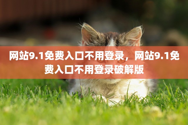 网站9.1免费入口不用登录，网站9.1免费入口不用登录破解版