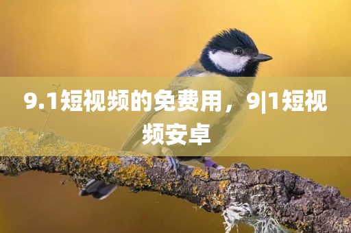 9.1短视频的免费用，9|1短视频安卓