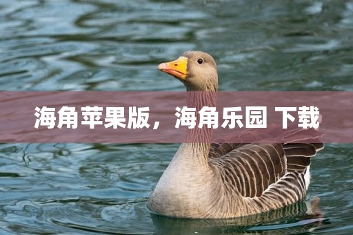 海角苹果版，海角乐园 下载