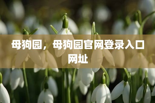 母狗园，母狗园官网登录入口网址