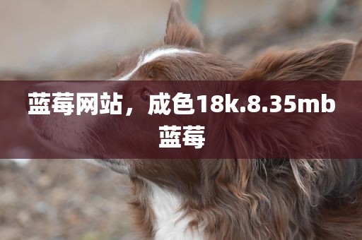 蓝莓网站，成色18k.8.35mb蓝莓