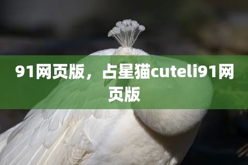 91网页版，占星猫cuteli91网页版